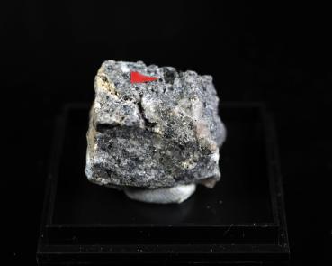 Farneseite